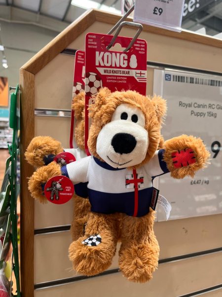 Kong bear