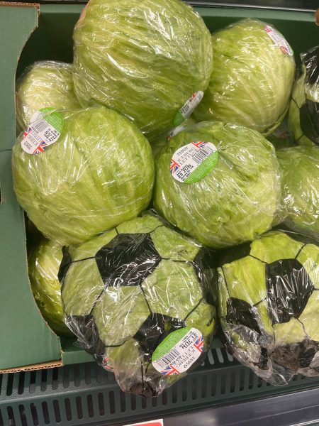 Tesco lettuces